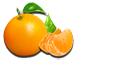 mandarin-logo132W.png